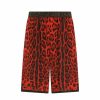 Men * | Dolce&Gabbana Bold Leopard-Print Shorts For Men