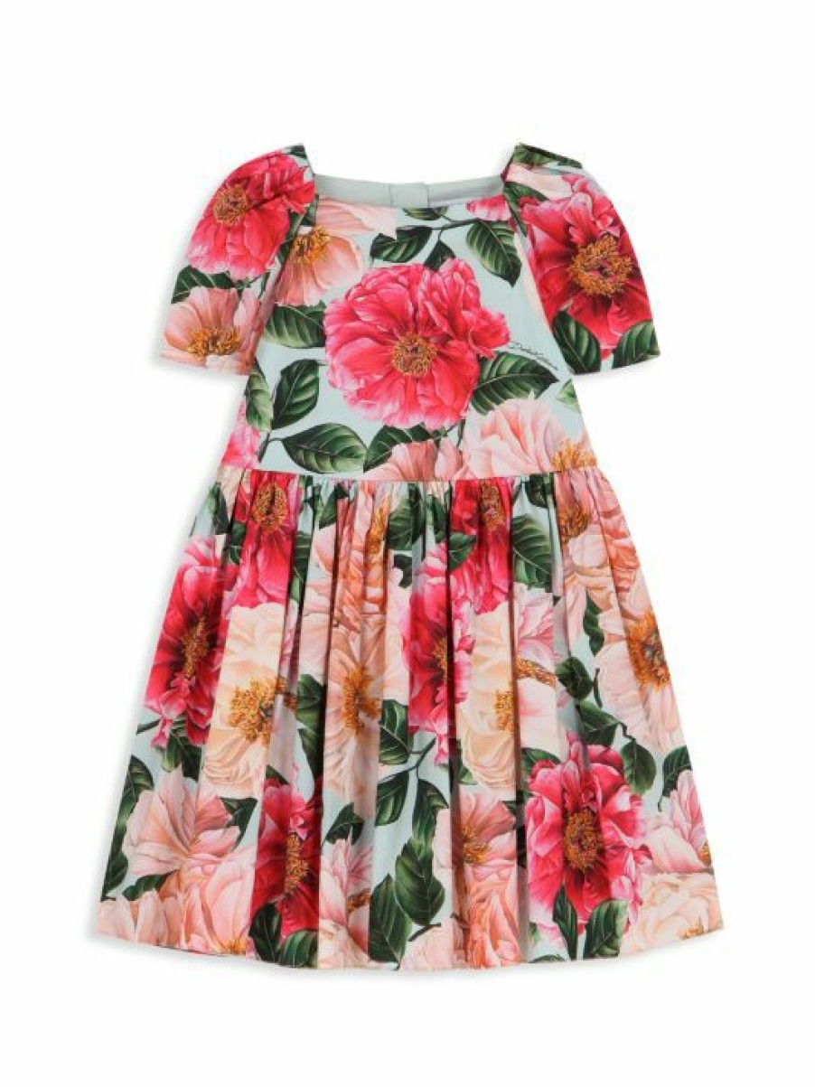 Women'S Clothing * | Dolce&Gabbana Little Girl'S & Girl'S Floral A-Line Dress For Kids