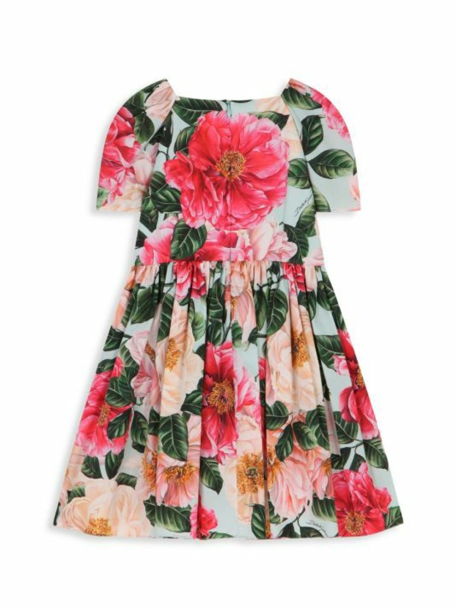 Women'S Clothing * | Dolce&Gabbana Little Girl'S & Girl'S Floral A-Line Dress For Kids